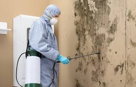 Best Asbestos and Lead Testing During Mold Inspection  in Pendleton, SC